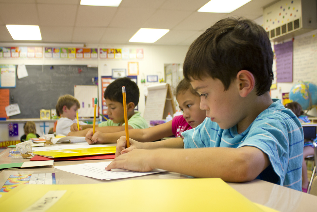 the child study center of ny