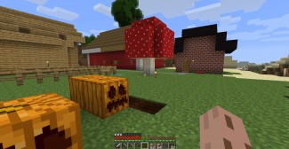 Minecraft Learningworks For Kids