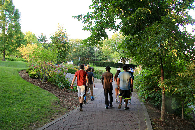 A group of young people on a Pokémon GO adventure in the park.
